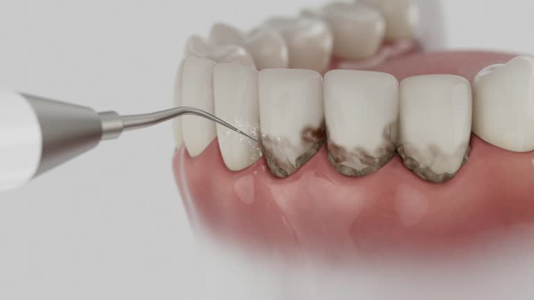 Reliable Dental contractor in Livingston, LA by Dentist Open Now